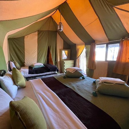 Roses desert camp Merzouga Eksteriør bilde